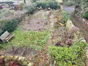 Photo 5- click for photo gallery